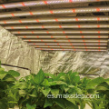 Spectrum completo de interiores 1200W LED Grow Light